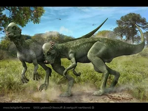 The Mysterious 'Stubborn' Dinosaur: A 25cm Thick Skull Revealed - image 3
