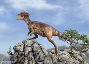 The Mysterious 'Stubborn' Dinosaur: A 25cm Thick Skull Revealed - image 6