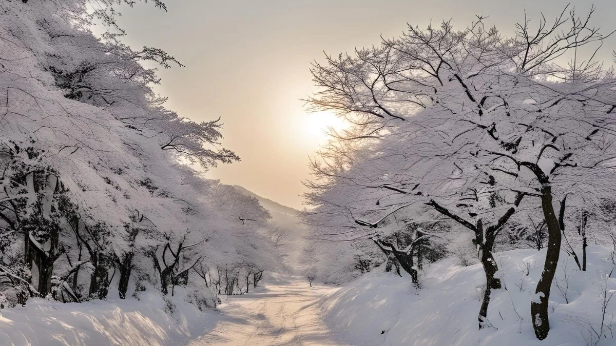 Discover South Korea: Stunning Full HD Wallpapers and Travel Inspiration