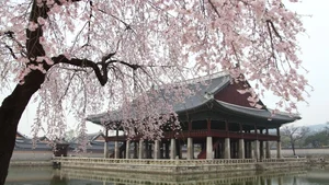 Discover South Korea: Stunning Full HD Wallpapers and Travel Inspiration - image 18