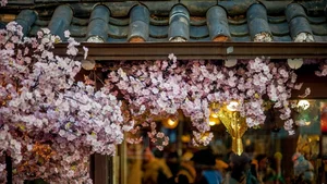 Discover South Korea: Stunning Full HD Wallpapers and Travel Inspiration - image 84