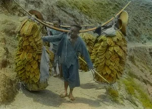 A Journey Through Time: China’s Infrastructure and Workers 100 Years Ago - image 4