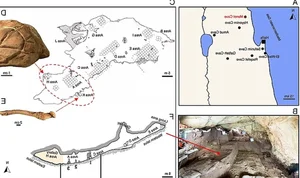 35,000-Year-Old Rock Art Reveals Ancient Rituals in Israel - image 4