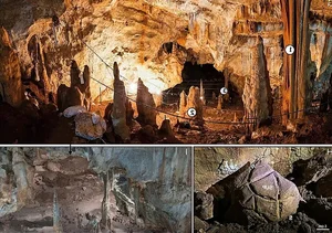 35,000-Year-Old Rock Art Reveals Ancient Rituals in Israel - image 2
