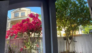 Inside the US Home of the Late Legendary Singer Phi Nhung Today - image 5