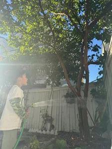 Inside the US Home of the Late Legendary Singer Phi Nhung Today - image 8