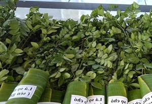 Why Common Wild Plants and Roadside Weeds Are Selling for Premium Prices - image 4