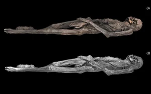 Unlocking the Secrets of a 2,300-Year-Old Tattooed Mummy - image 5