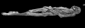 Unlocking the Secrets of a 2,300-Year-Old Tattooed Mummy - image 7