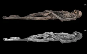 Unlocking the Secrets of a 2,300-Year-Old Tattooed Mummy - image 3