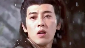 The Cast of 'Swordsman' 30 Years Later: Where Are They Now? - image 2