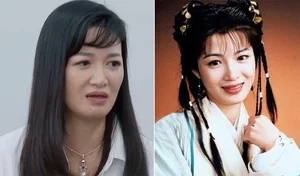 The Cast of 'Swordsman' 30 Years Later: Where Are They Now? - image 5