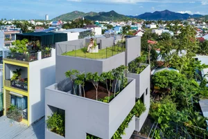 Urban Oasis: A Green Townhouse That Feels Like a Resort - image 9