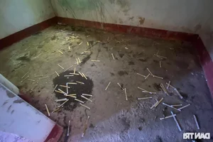 Mysterious Artifacts Discovered Inside the Hidden Forest Villa of Central Vietnam’s Lord - image 9