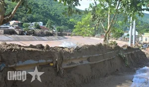 Community Support in Muong Xen: Caring for the Vulnerable and Elderly - image 5