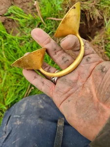 Hobbyist Using Metal Detector Discovers Incredible 3,000-Year-Old Treasure Hoard - image 0