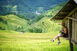 Mu Cang Chai Golden Season: A Guide to Choosing the Best Value Tours - image 6