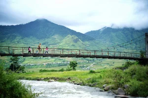 Mu Cang Chai Golden Season: A Guide to Choosing the Best Value Tours - image 3