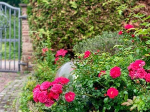 Singer My Le at 54: Living a Fulfilled Life in Her 1,000m² Spring-Filled Villa - image 2