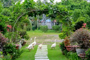 Singer My Le at 54: Living a Fulfilled Life in Her 1,000m² Spring-Filled Villa - image 32