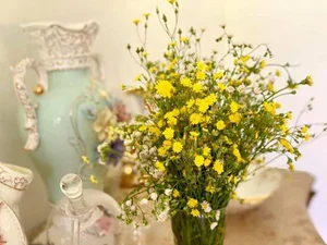 Singer My Le at 54: Living a Fulfilled Life in Her 1,000m² Spring-Filled Villa - image 13