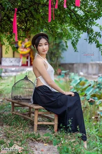 The Artistic Beauty and Modern Evolution of Vietnam's Traditional Ao Yem - image 106