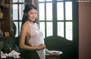 The Artistic Beauty and Modern Evolution of Vietnam's Traditional Ao Yem - image 8