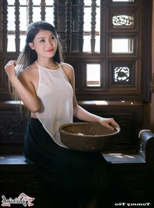 The Artistic Beauty and Modern Evolution of Vietnam's Traditional Ao Yem - image 149