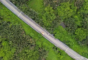 Inside the 150-Hectare Thu Thiem Ecological Park Project in Ho Chi Minh City - image 0