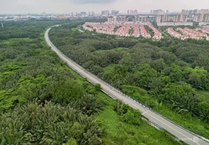Inside the 150-Hectare Thu Thiem Ecological Park Project in Ho Chi Minh City - image 12