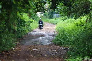 Inside the 150-Hectare Thu Thiem Ecological Park Project in Ho Chi Minh City - image 7