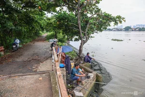 Inside the 150-Hectare Thu Thiem Ecological Park Project in Ho Chi Minh City - image 9