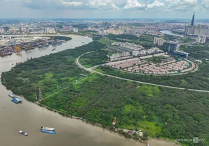 Inside the 150-Hectare Thu Thiem Ecological Park Project in Ho Chi Minh City - image 11