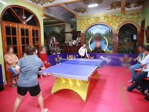 Inside Singer Ngoc Son's Luxurious 400-Billion VND Gold-Plated Mansion - image 3