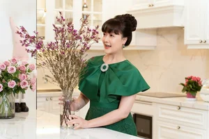 Inside the Luxurious Apartment of Comedian Van Dung and Her Son - image 6