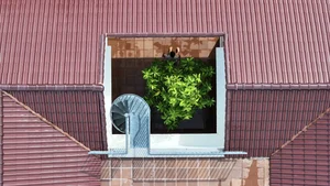 Sustainable 150m2 Phu Quoc House with Eco-Friendly Rainwater Harvesting System - image 2