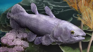 The Return of the Coelacanth: A Fish Thought Extinct for 65 Million Years - image 0