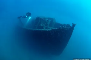 Uncovering Hidden Secrets Inside an Ancient Pirate Shipwreck - image 5
