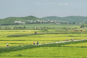 Unveiling Daily Life: Rare Insights into North Korean Rural Life from Years Past - image 7