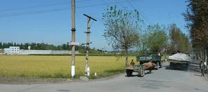 Unveiling Daily Life: Rare Insights into North Korean Rural Life from Years Past - image 2
