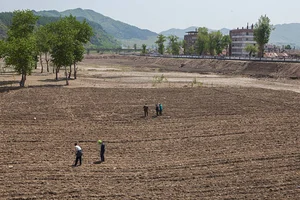 Unveiling Daily Life: Rare Insights into North Korean Rural Life from Years Past - image 3