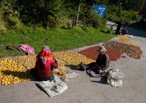 Unveiling Daily Life: Rare Insights into North Korean Rural Life from Years Past - image 9