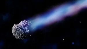 Young Girl Discovers Rare Treasure Fallen From the Sky - image 4