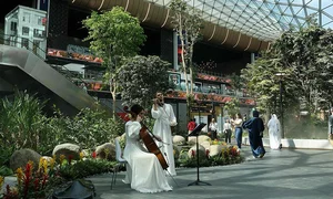 Inside Singapore Changi: Exploring the World's Best Airport and Its Iconic Architecture - image 2