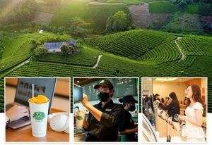 Phuc Long CEO Shares Vision on Tea and Cultural Connection - image 1