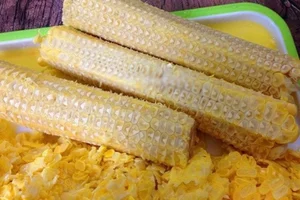 From Waste to Wealth: The Agricultural Byproduct Now Worth 100k/kg - image 6