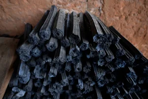 From Waste to Wealth: The Agricultural Byproduct Now Worth 100k/kg - image 9