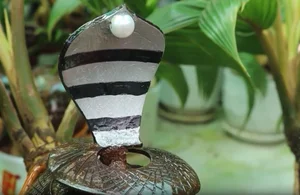 Unique Snake-Shaped Coconut Bonsai Trends for Lunar New Year 2025 - image 4