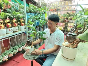 Unique Snake-Shaped Coconut Bonsai Trends for Lunar New Year 2025 - image 0