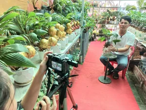 Unique Snake-Shaped Coconut Bonsai Trends for Lunar New Year 2025 - image 9